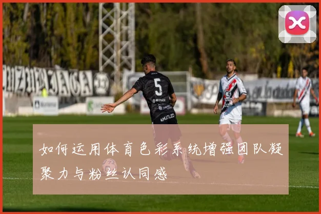 如何运用体育色彩系统增强团队凝聚力与粉丝认同感